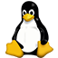 platform_linux